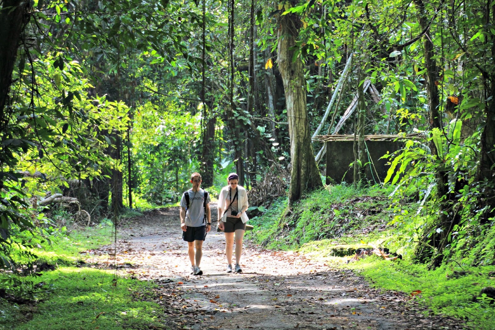 Monkey hunting in the graveyard. More.... monitor lizards….these things are everywhere!