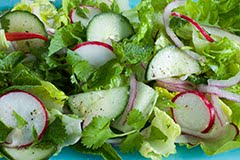 Thai Cucumber and Radish Salad w/ Cilantro and Mint