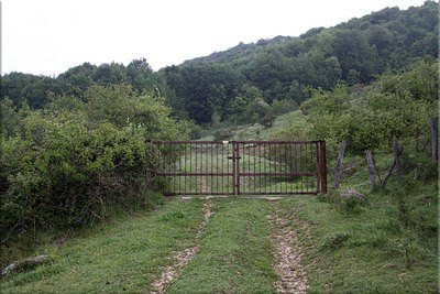Puerta metálica