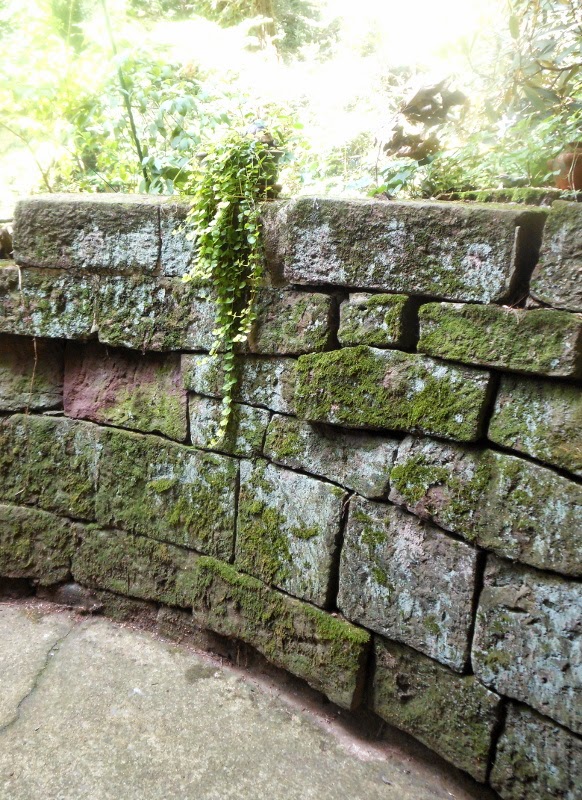 Quilted Nest Art Show, Window Boxes, Moss, and Lost Photos...