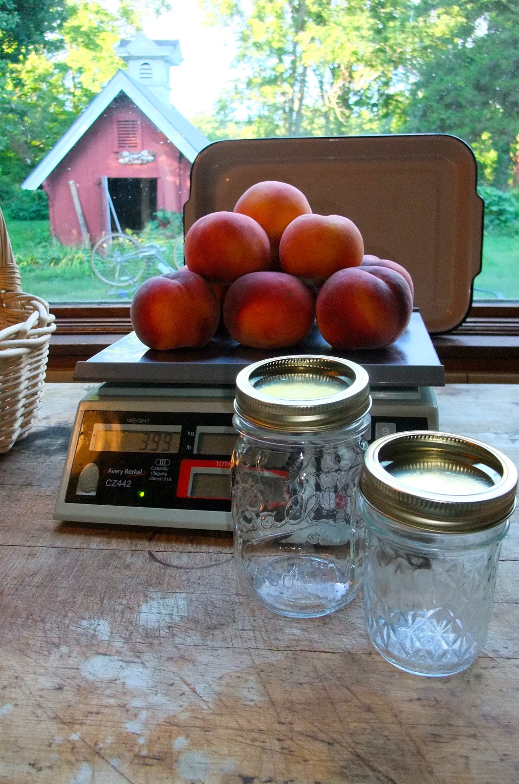 Preserved and Pickled SWEET PRESERVATION Nectarine Jelly