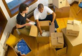 Professional Moving Companies