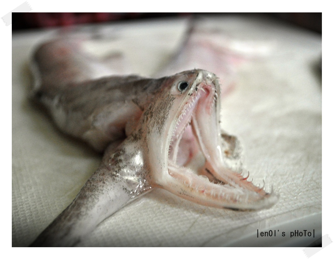 Ikan Lumek
