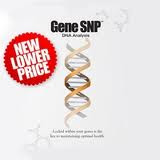 Gene SNP DNA Analysis