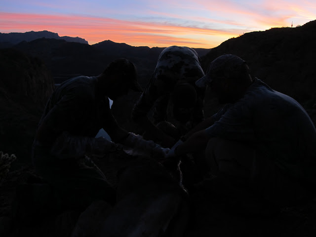 AZ+Unit+22+Desert+Bighorn+Sheep+Hunt+Photos+with+Jayscottoutdoors+25.JPG
