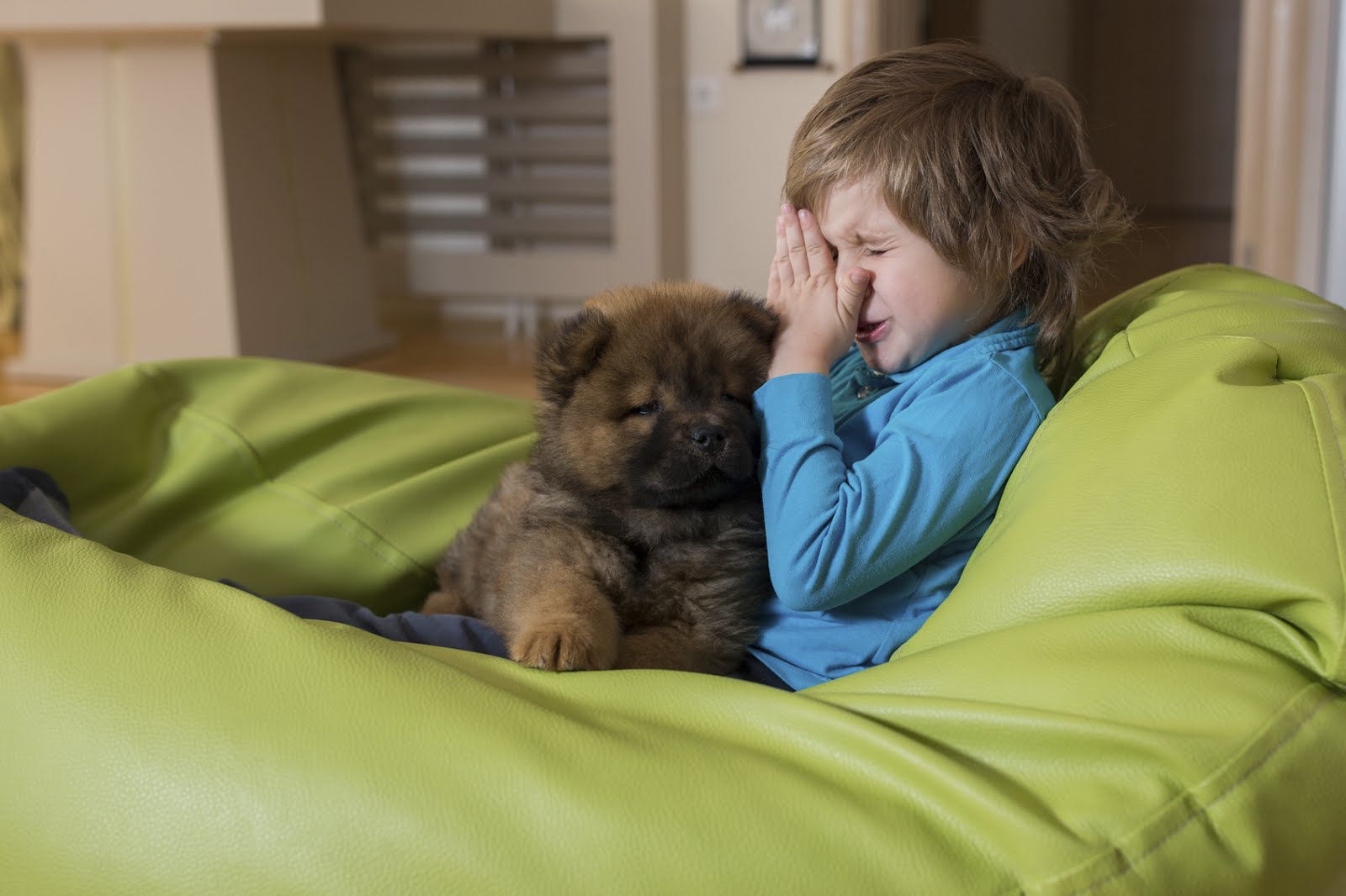 Making Pet Allergies Work for You · Triple S Carpet & Drapery Cleaners