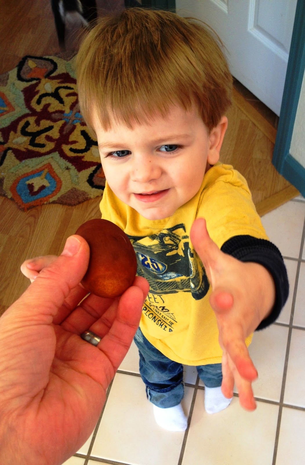 Entropy Kitchen The Rubber Egg Science for Kids in the Kitchen