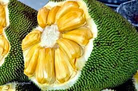 How To Get Flawless Skin - With Jack Fruit Seeds http://indonesian-herbal-medicine.blogspot.com/2015/03/how-to-get-flawless-skin-with-jack.html