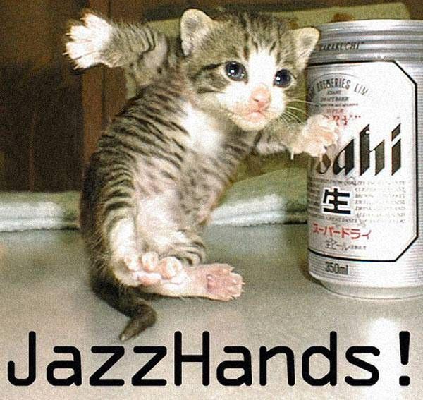 JazzHandsCat.jpg