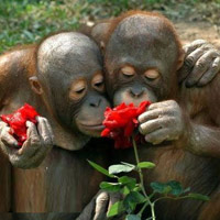 3650 hình ảnh đi cùng năm tháng (66) 3650 hình ảnh đi cùng năm tháng (66)