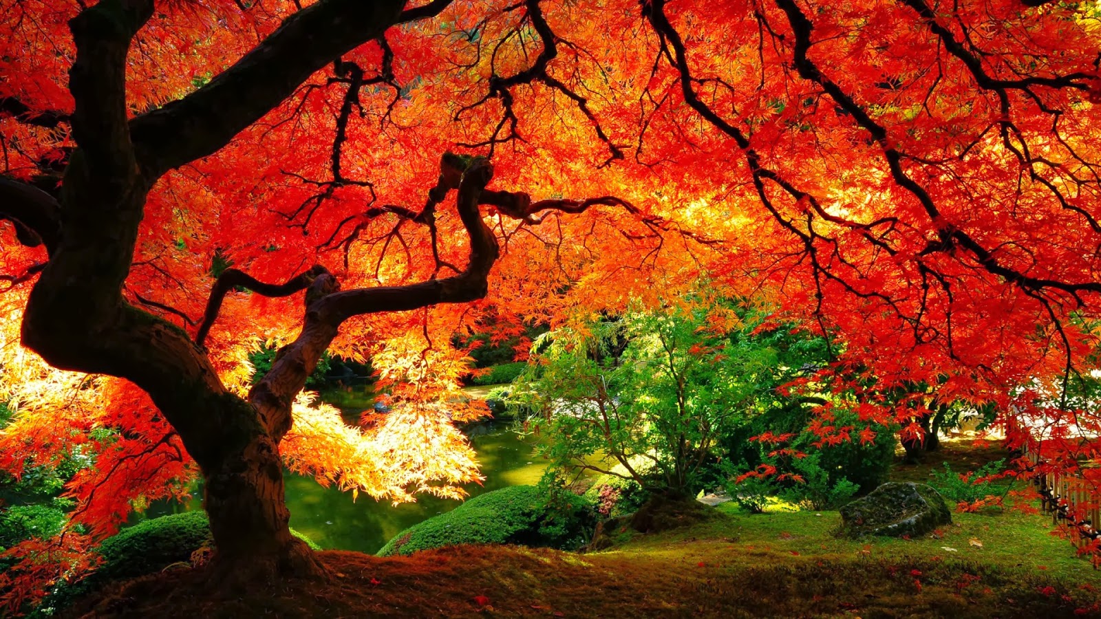 beautiful autumn beautiful autumn