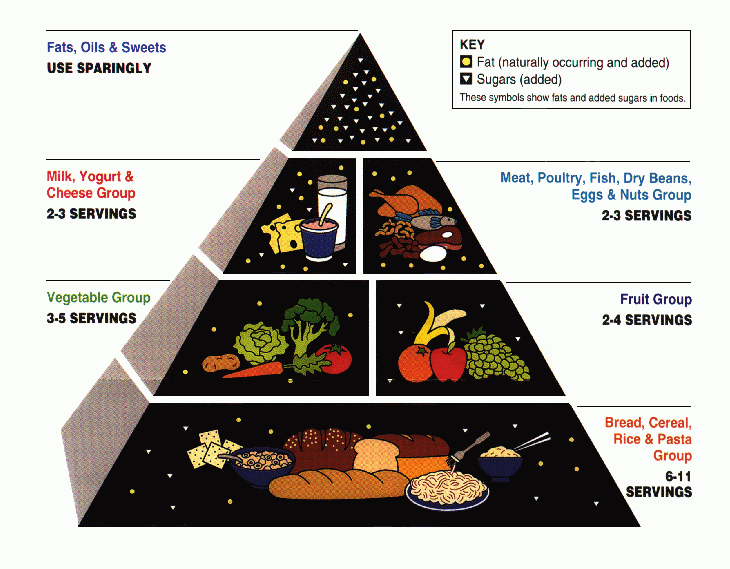 The importance of fruits & vegetables| Yes, We Rise The importance of fruits & vegetables| Yes, We Rise