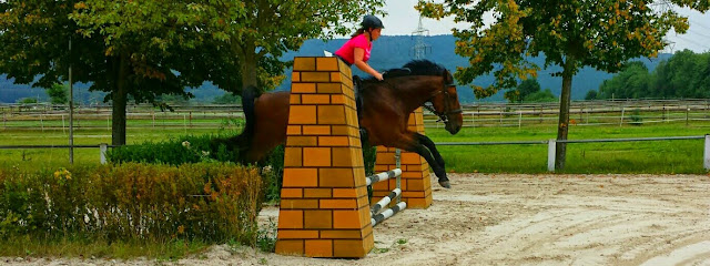 Horses, Lifestyle and more
