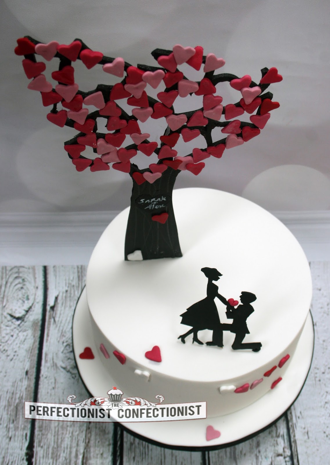 The Perfectionist Confectionist: Sarah and Alex ...