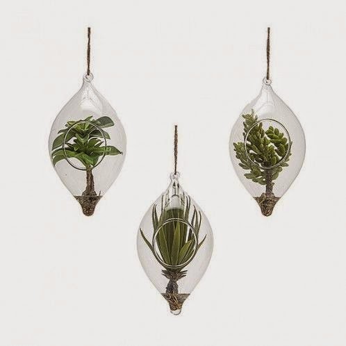 Vase suspendu avec succulente Sia chez Ellen Desforges