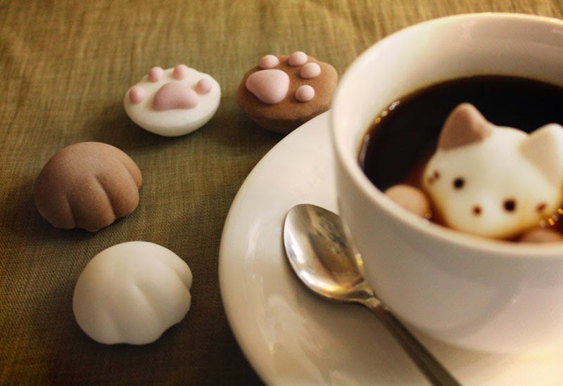 CafeCat, nubes con forma de lindos gatitos