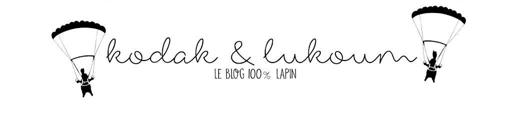 Kodak & Lukoum - le blog 100% lapin