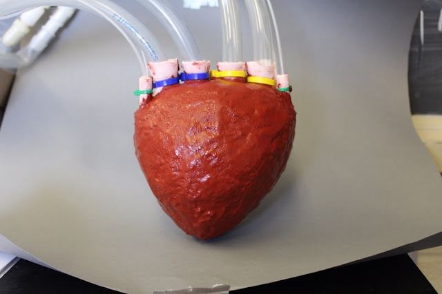 poroelastic silicone foam heart