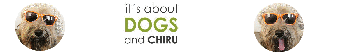ABOUT DOGS AND CHIRU [Hundeblog] 