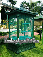 jual kandang ayam istimewa 3