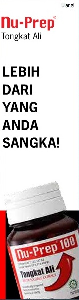 manual bilik fail