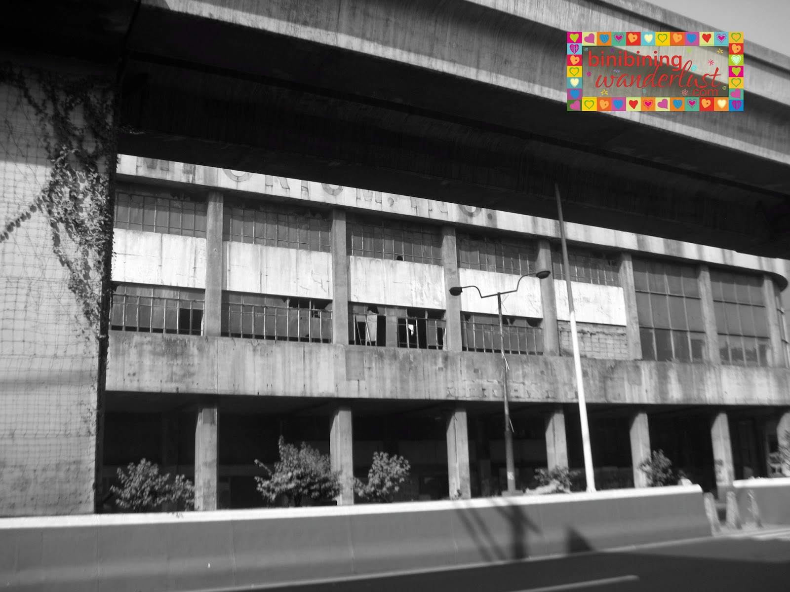Buy thesis recto image