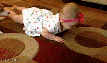 6.gif