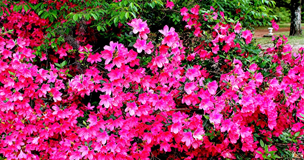 Stiltskin Studios She's got Legs...and they are Orchid