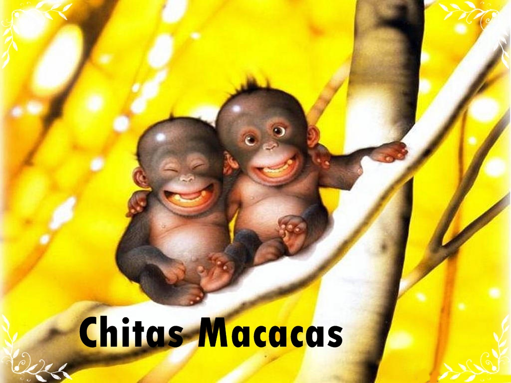 Chitas Macacas