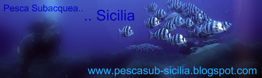Pesca Sub Sicilia