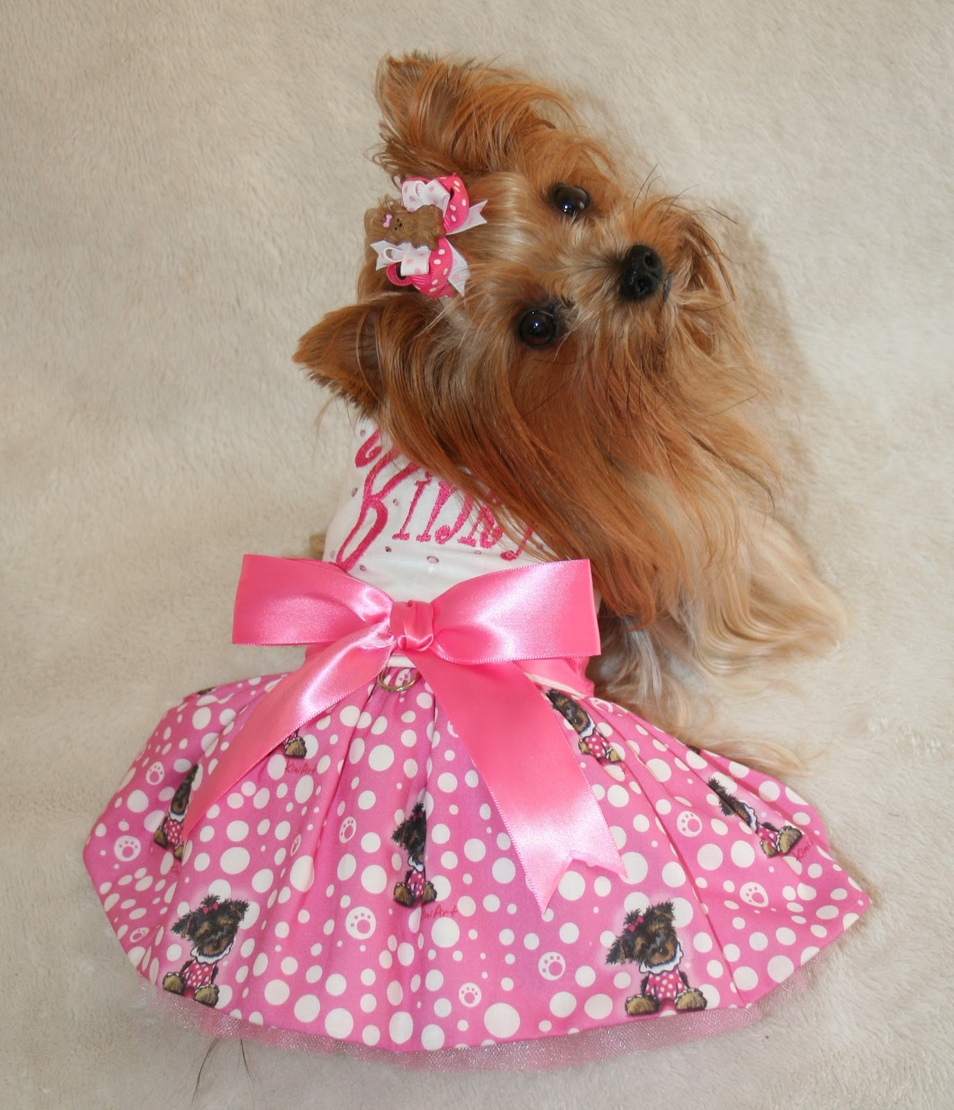 1000+ images about Yorkie clothing on Pinterest