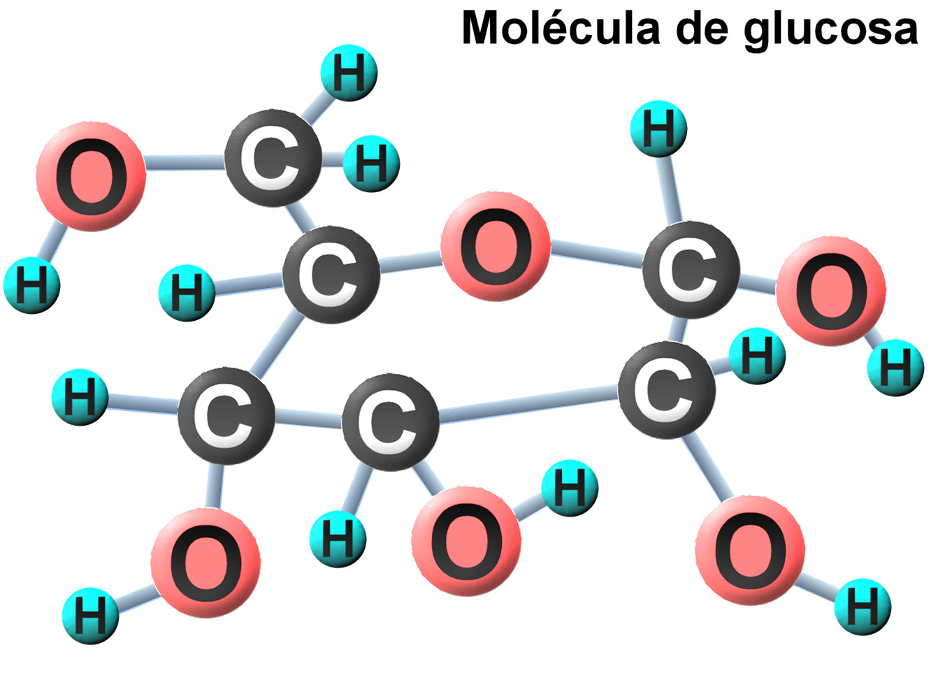 ESTRUCTURA GLUCOSA estructura glucosa: