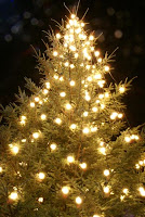 lights on green Christmas tree