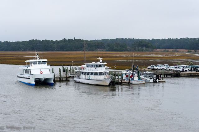 Sapelo Island Ferry Times Sapelo Island Ferry Times