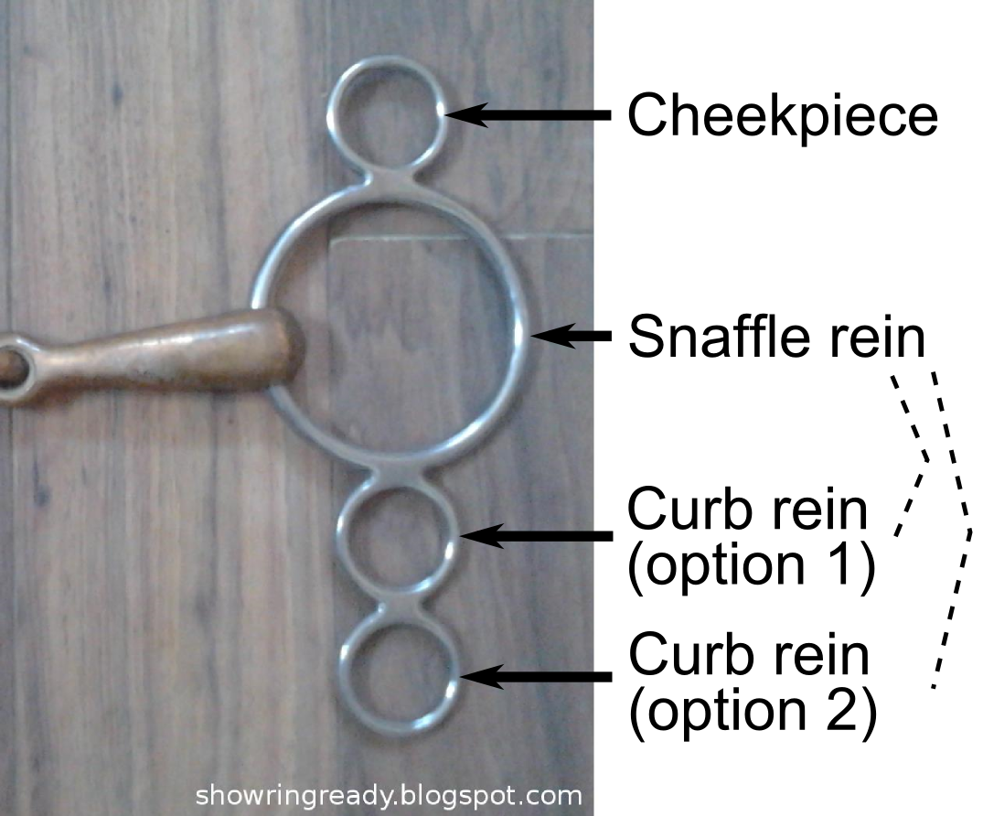 Show Ring Ready Bitting Arrangements