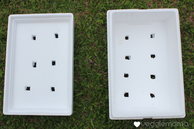 Making A Garden From Styrofoam Containers Veggie Mama