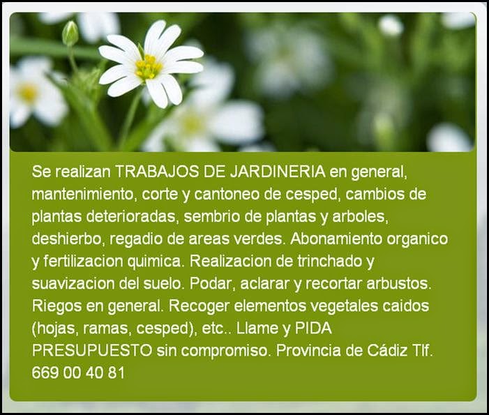 Jardinero a domicio