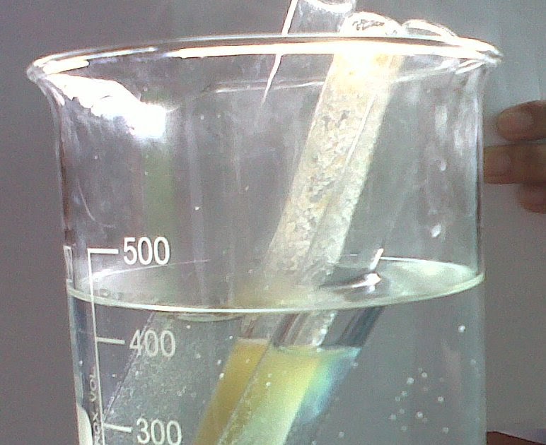 NuRes'BLOG Uji Kandungan Zat Makanan