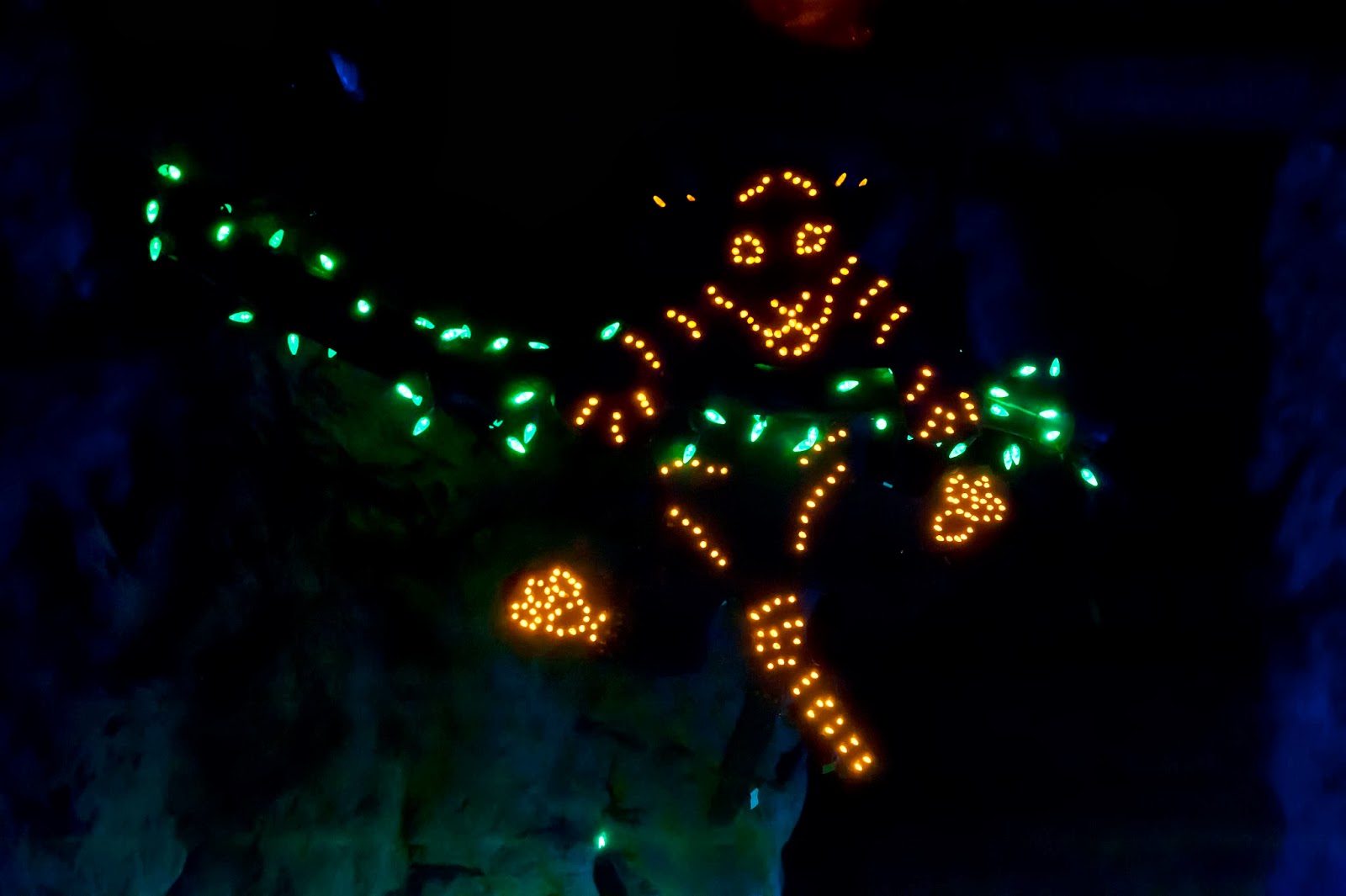 Alexander Chamas Photography Wild Lights at the Woodland Park Zoo