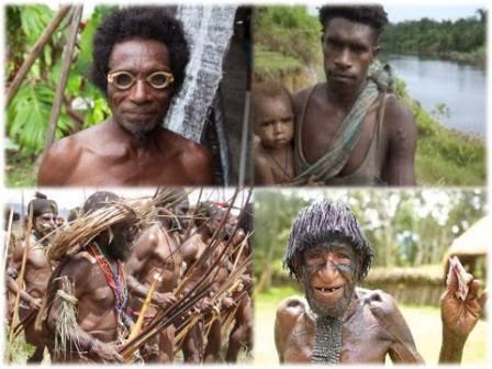 Pulau adalah contoh suku bangsa papua di yang terdapat Soal Ulangan