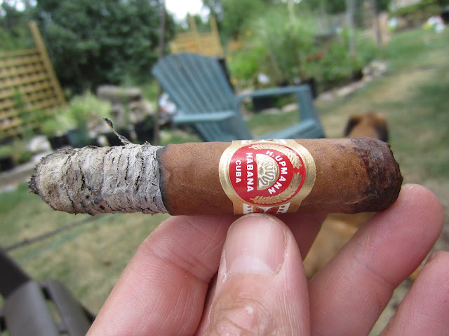 Cigar Cuba chính hiệu!!! Đẳng cấp ông chủ!!!! - 16