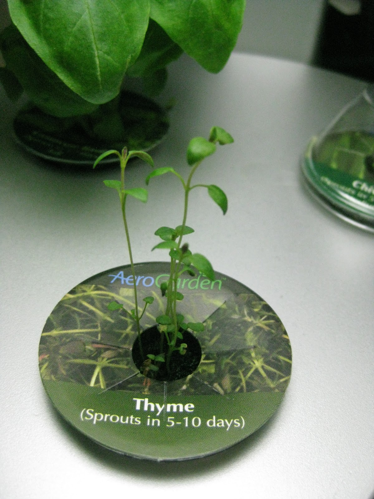 wet my plants aerogarden