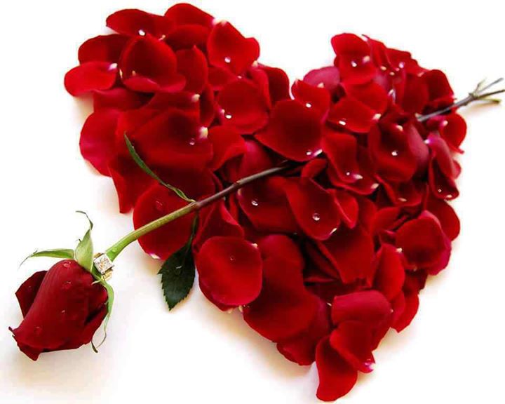 imagenes de corazones con rosas