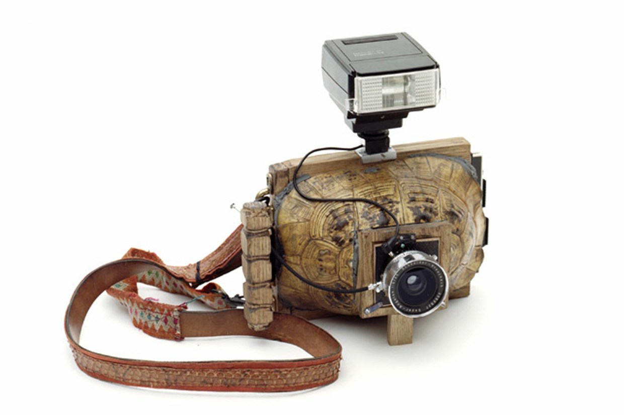 Pix Grove Fully Functional Cameras Made from Armadillos and Tortoises