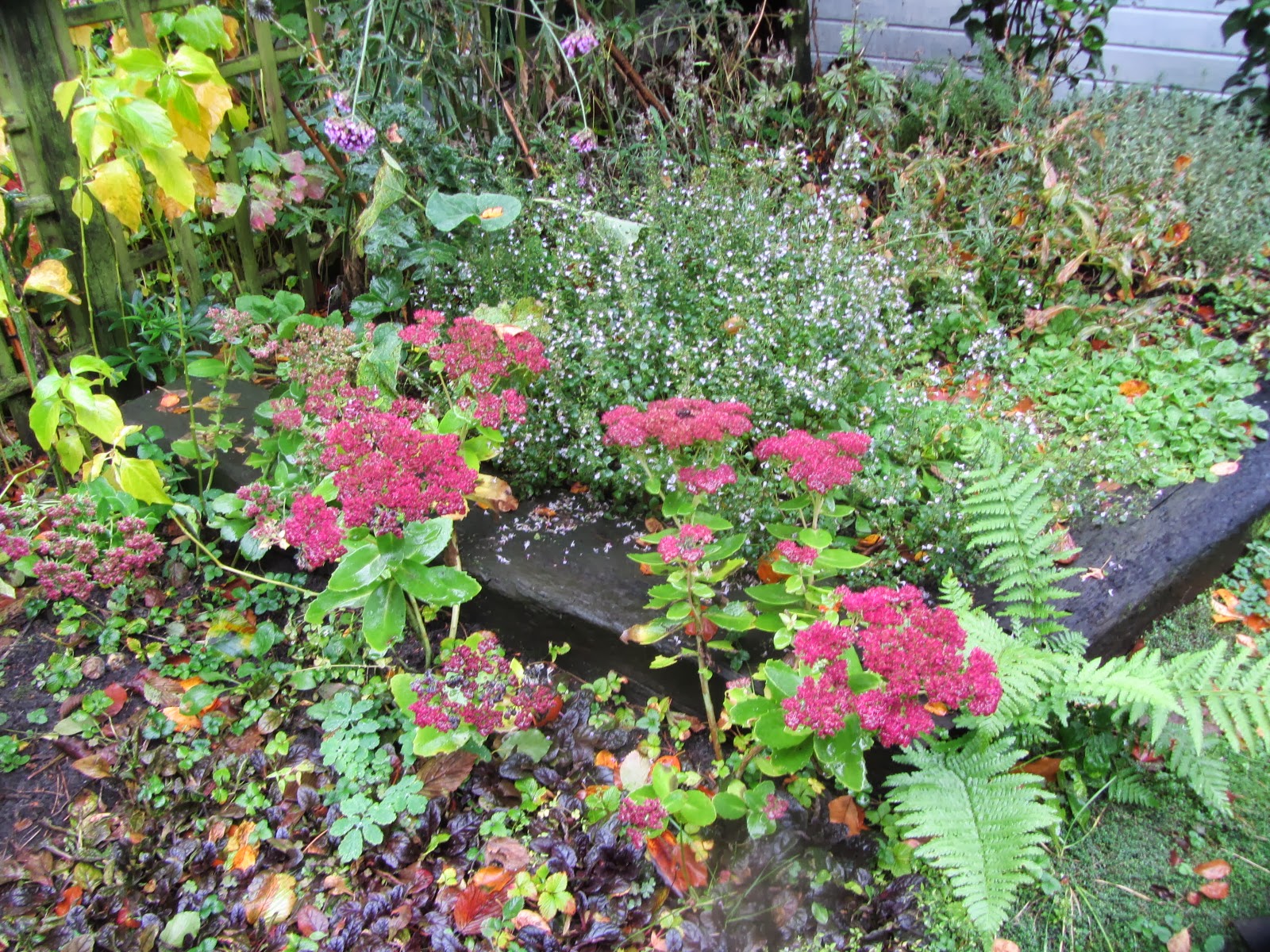 De cultuurbarbaar: oktober 2013 Levende huidige kleuren