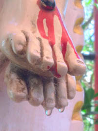 Uploaded Image