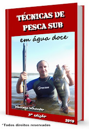 CLIC NA IMAGEM ABAIXO PARA LER O MELHOR LIVRO SOBRE PESCA SUB