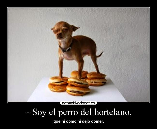 El perro del hortelano, actual.