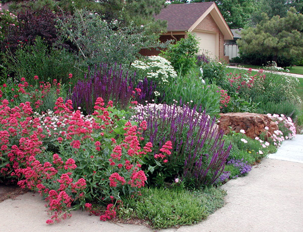 The Nitty Gritty Potager: Garden Trends 2016
