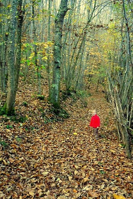 Ruta Castañeru Montés, Asturias Ruta Castañeru Montés, Asturias